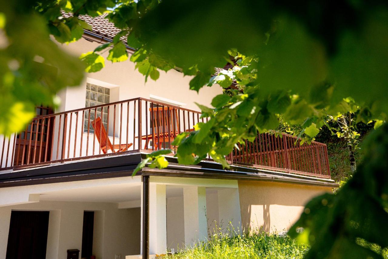 Elegant House In A Beautiful Village Cerklje ob Krki